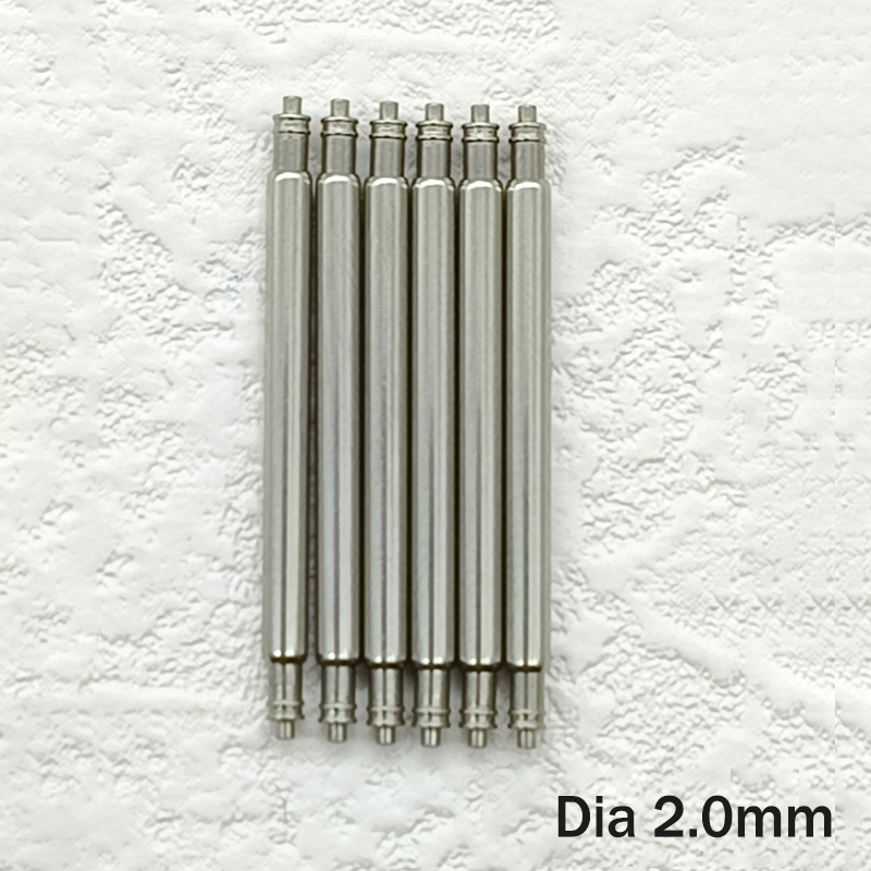 SKX007 Strap Spring Bars Dia 2 – Nylon Nato Strap Bewertung und Preis